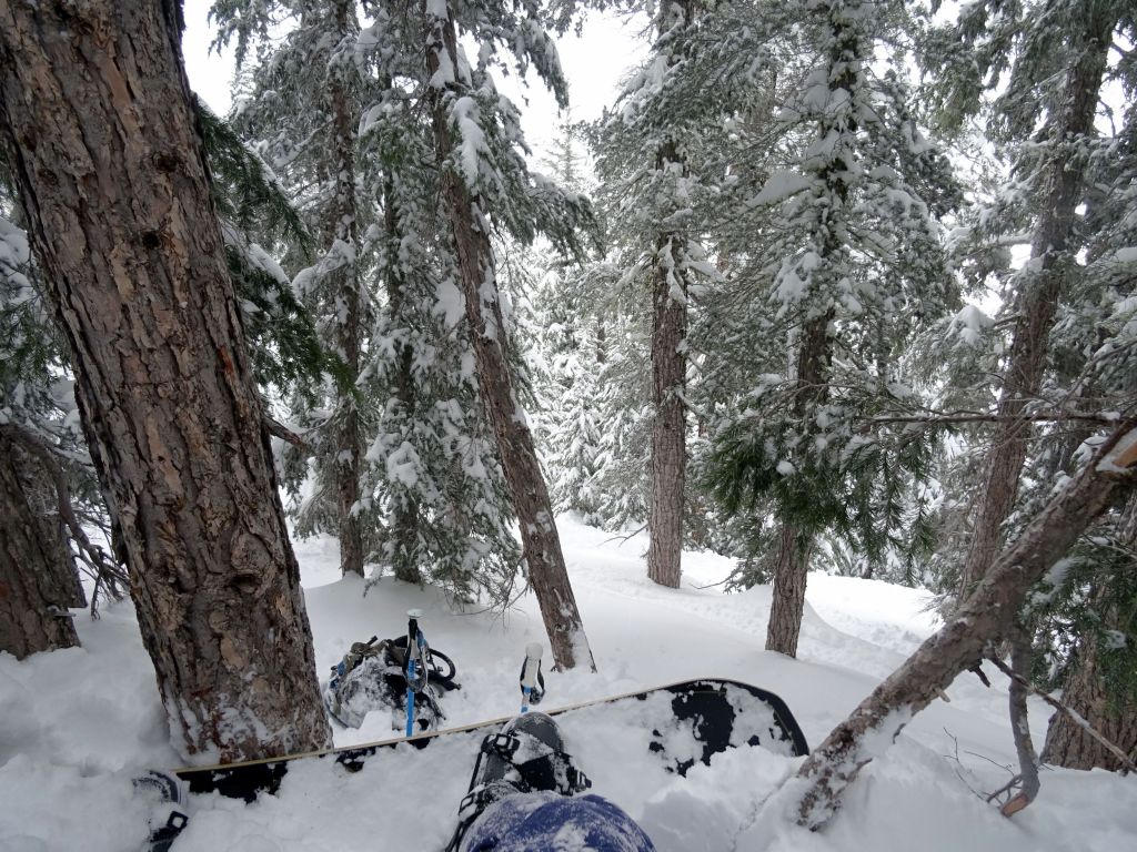 then I got my board caught between those 2 trees, fell forward and could not get back up with the 45 degree slope to free my board from the small tree. It took both my poles and a lot of effort to get back up straight and unhook my board...