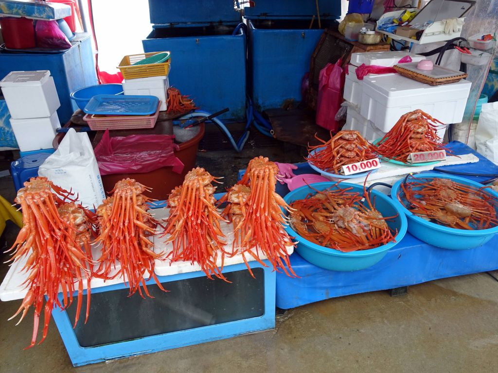 lots of red crab