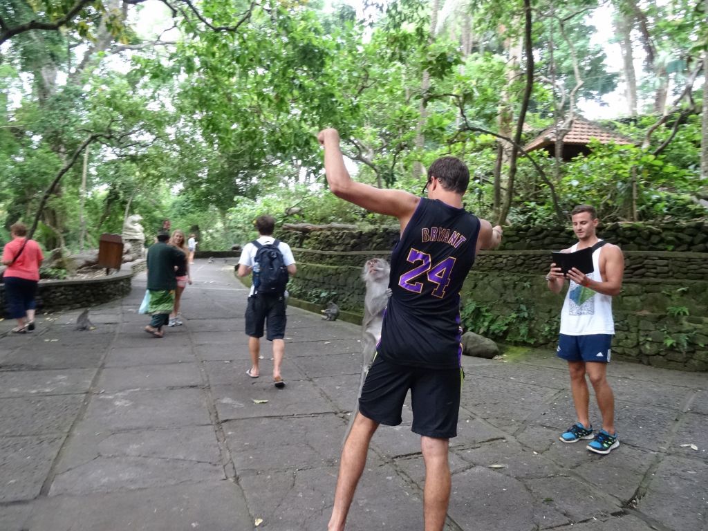 some tourists fed the monkeys directly, but it wasn't a grand idea. Some do end up bitten.