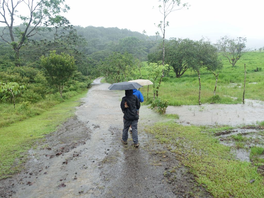 the path ended up with a stream that was almost knee-high