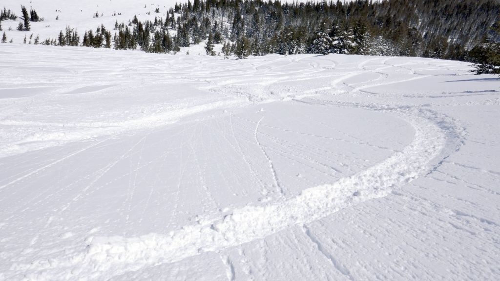 snow was good up high, but by 9000ft the powder quality went way down :-/