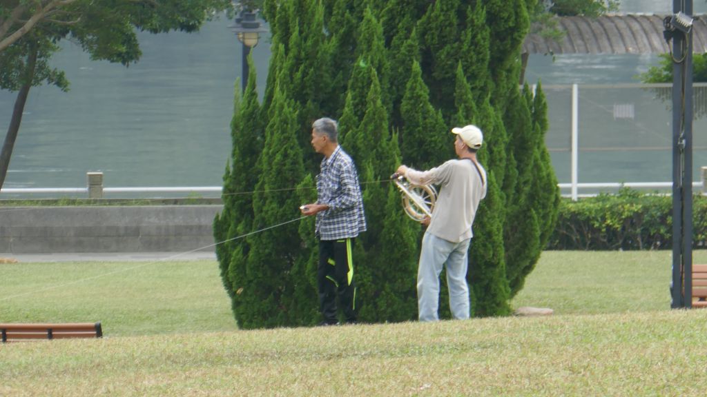 people were flying kites