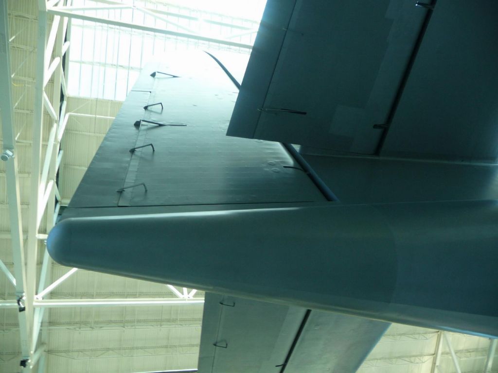 The Spruce Goose's rudder is bigger than most planes' wings