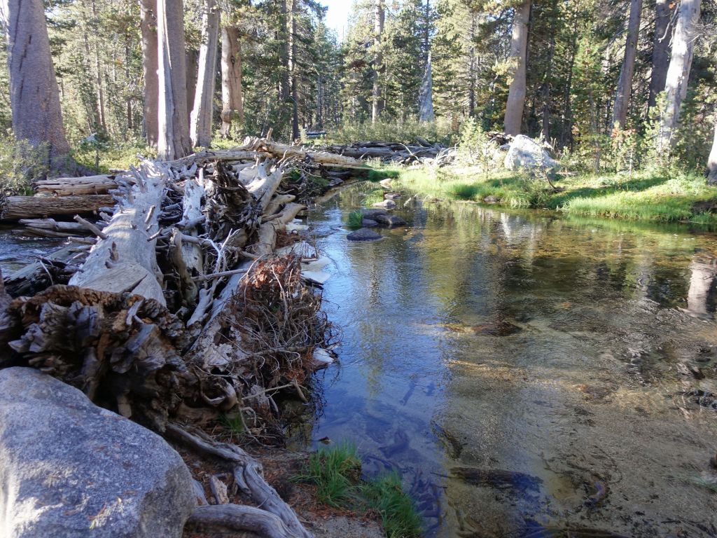 another stream crossing