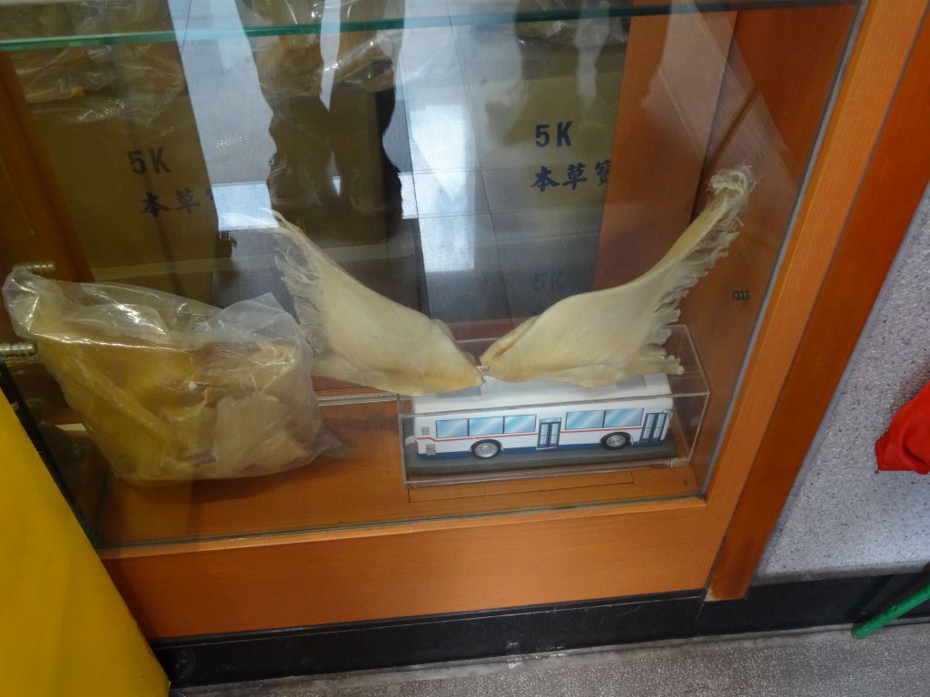 shark fins, shame shame shame...