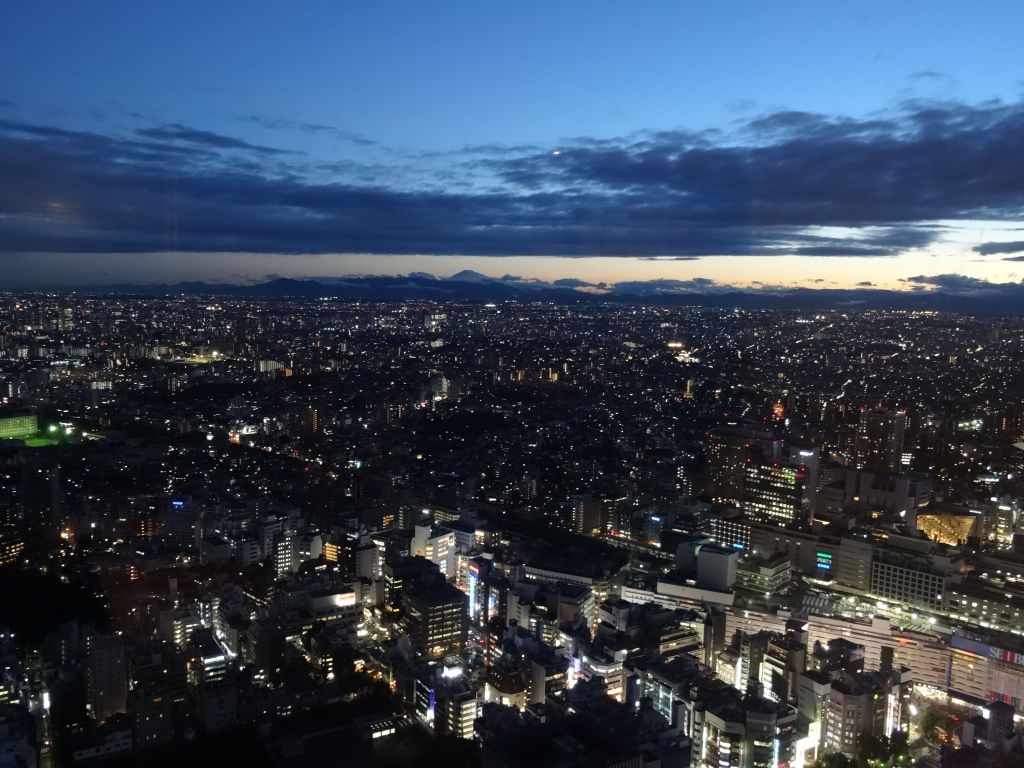 Mt Fuji in the background