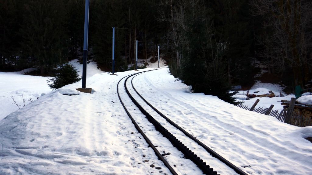 then we crossed the cog train