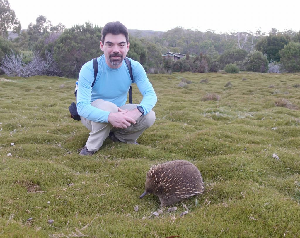 then I got super lucky and spotted this echidna