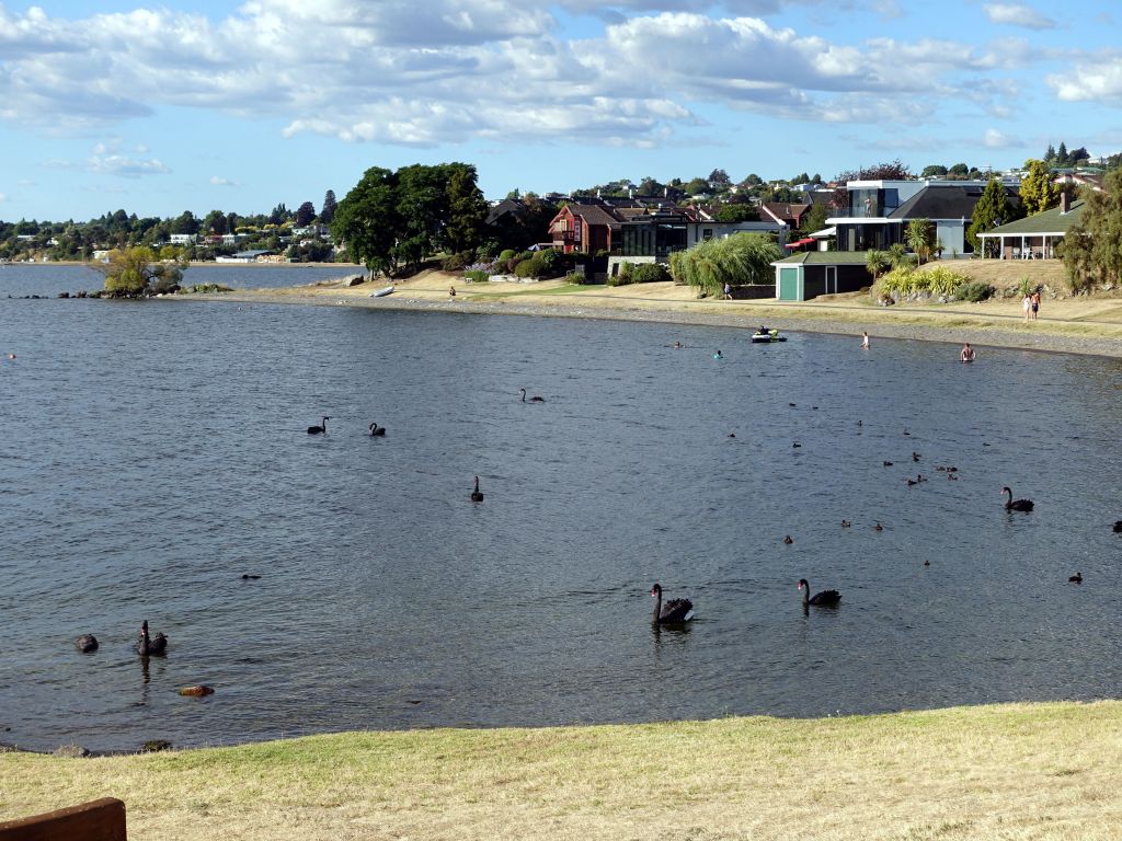 Taupo lake