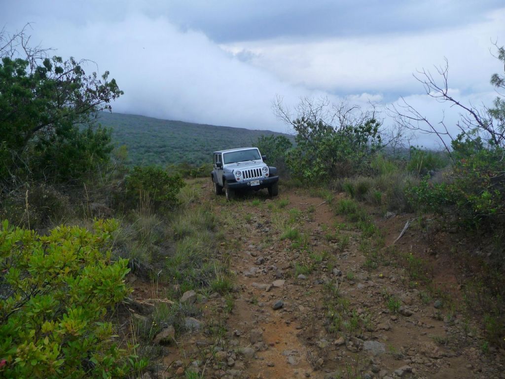 This made the jeep a bit more useful and at home