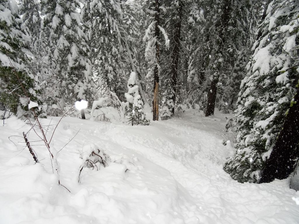 the ride down from Red Dog back to Squaw Creek, where I was sleeping, was quite good :)