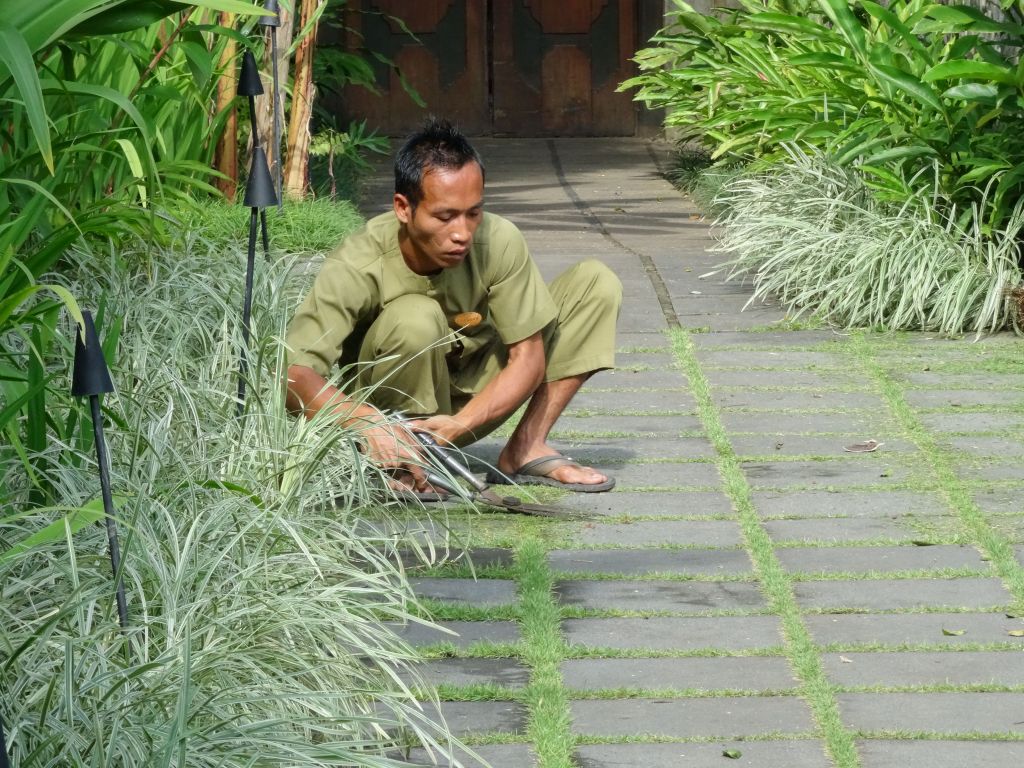 the staff kept the ground meticulously