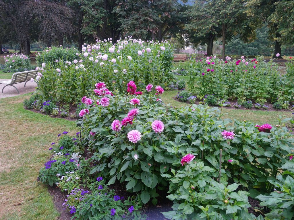 the floral garden at the end of our walk, was nice though