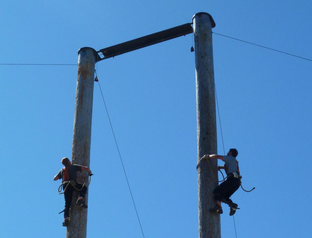 their tree climbing skills were impressive too