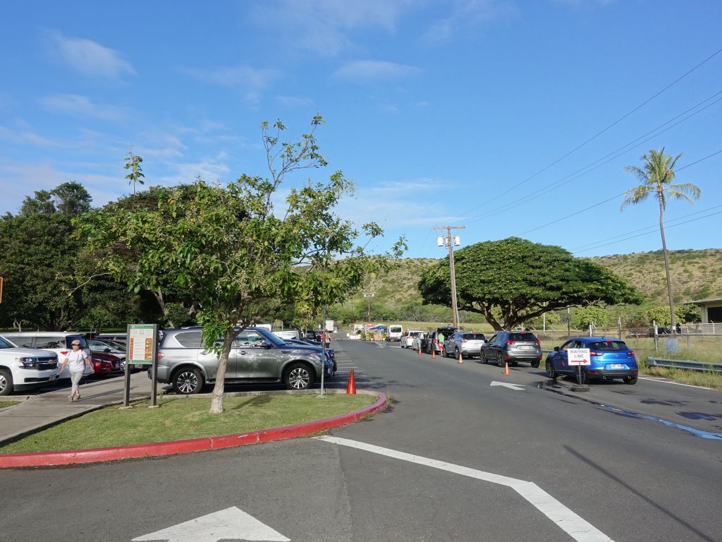 cars are in line waiting for parking spots to free up inside