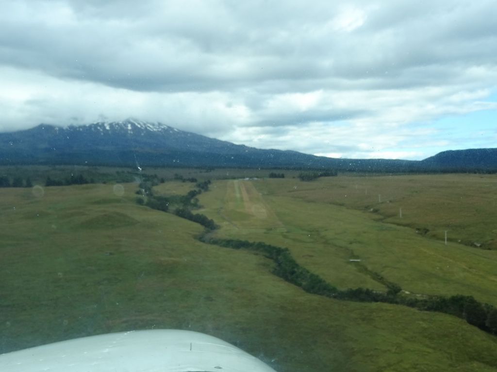 nice grass strip