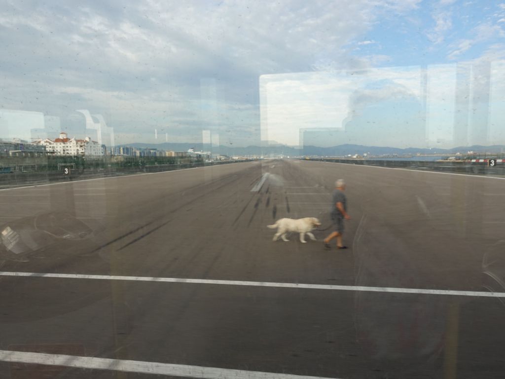 the bus drives across the airport runway