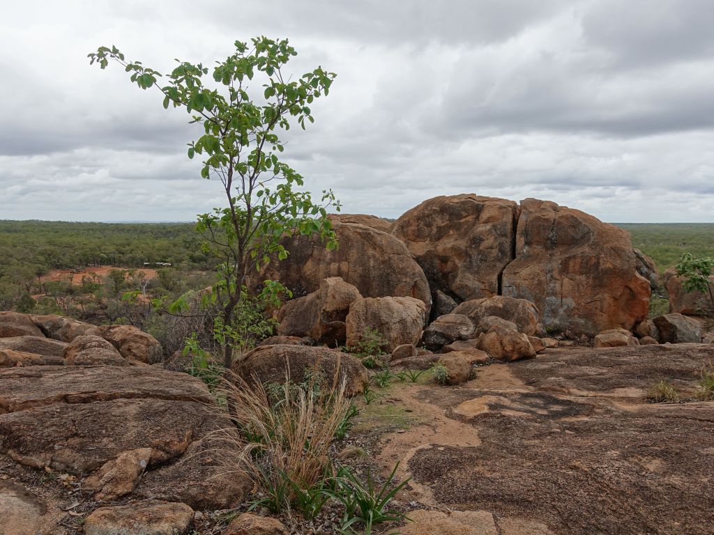 Atkinson's lookout