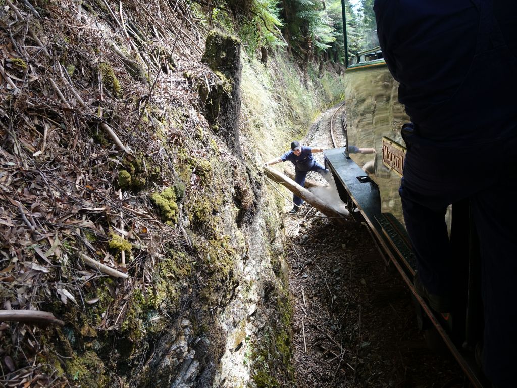 a tree fell on the tracks, but the engineers had a chainsaw to take care of that :)