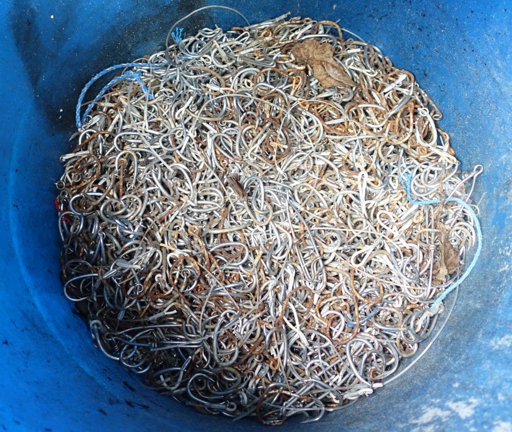 a collection of fishing hooks collected by the rangers